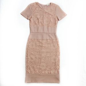 Miss Selfridge Pink Lace Short Sleeve Pencil Dress